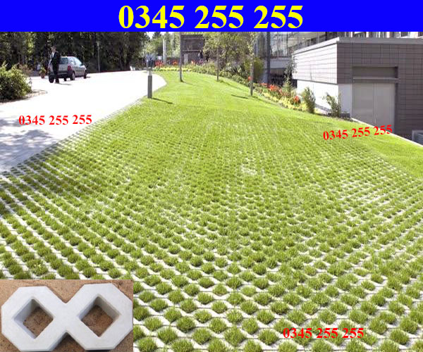Gạch bê tông trồng cỏ số 8