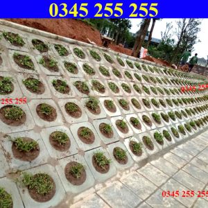 Gạch bê tông trồng cỏ ốp mái taluy